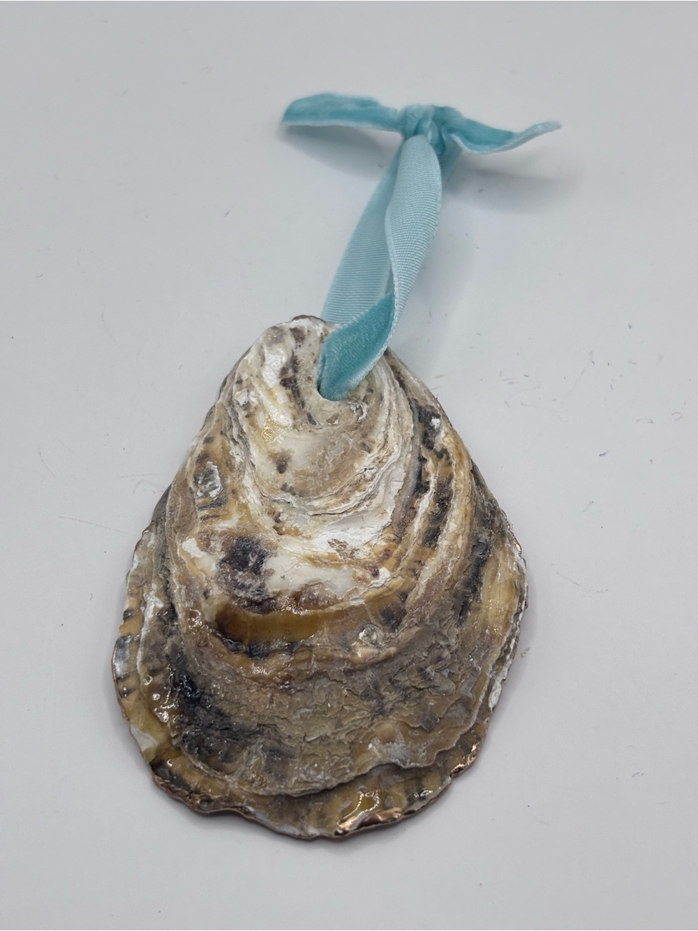 Coastal Blue Crab Oyster Shell Ornament with Velvet Ribbon - Picture 3 of 4